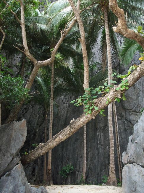 Zdjęcia: Miniloc Island, Palawan, ... w skalnym kręgu ..., FILIPINY Zdjęcia: Miniloc Island, Palawan, ... w skalnym kręgu ..., FILIPINY