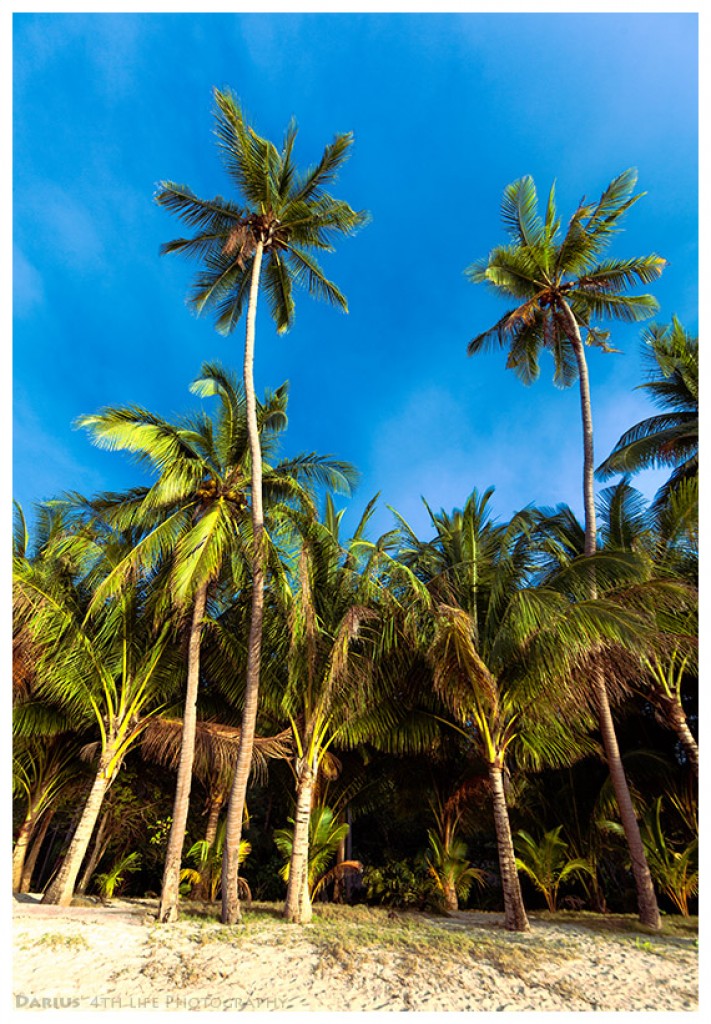 Zdjęcia: Ocamocam, Busuanga, The Beach, FILIPINY Zdjęcia: Ocamocam, Busuanga, The Beach, FILIPINY