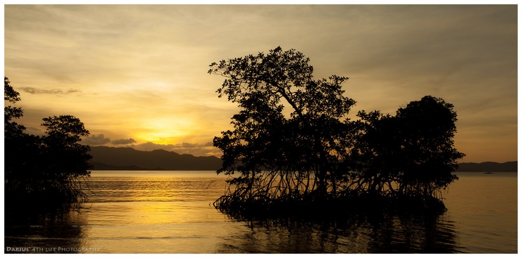 Zdjęcia: Port Barton, Palawan, Little Mangrove, FILIPINY Zdjęcia: Port Barton, Palawan, Little Mangrove, FILIPINY