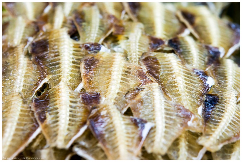 Zdjęcia: Iloilo, Panay, Dried Fish, FILIPINY Zdjęcia: Iloilo, Panay, Dried Fish, FILIPINY
