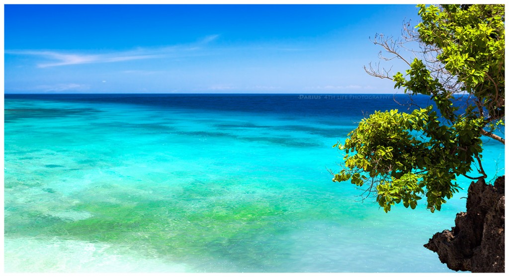 Zdjęcia: Siquijor, Visayas, Salagdong Reef, FILIPINY Zdjęcia: Siquijor, Visayas, Salagdong Reef, FILIPINY