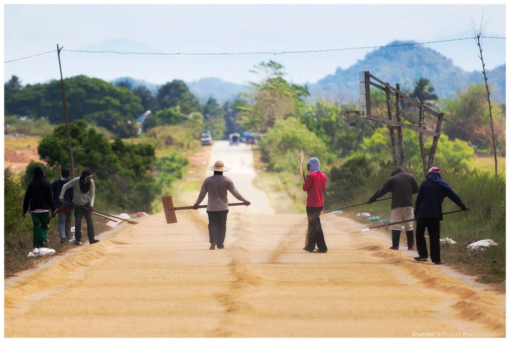 Zdjęcia: Cagayan, Luzon, Rice dryer, FILIPINY Zdjęcia: Cagayan, Luzon, Rice dryer, FILIPINY