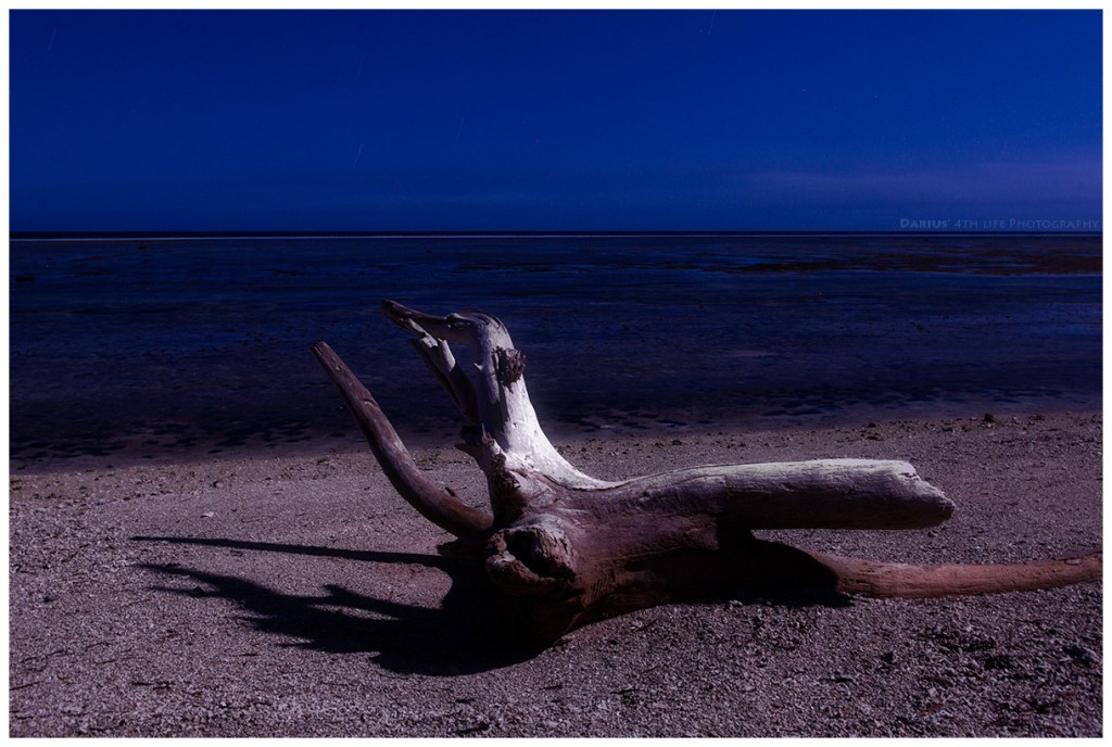 Zdjęcia: Cagayan, Luzon, Pacific Beach by Moonlight, FILIPINY Zdjęcia: Cagayan, Luzon, Pacific Beach by Moonlight, FILIPINY