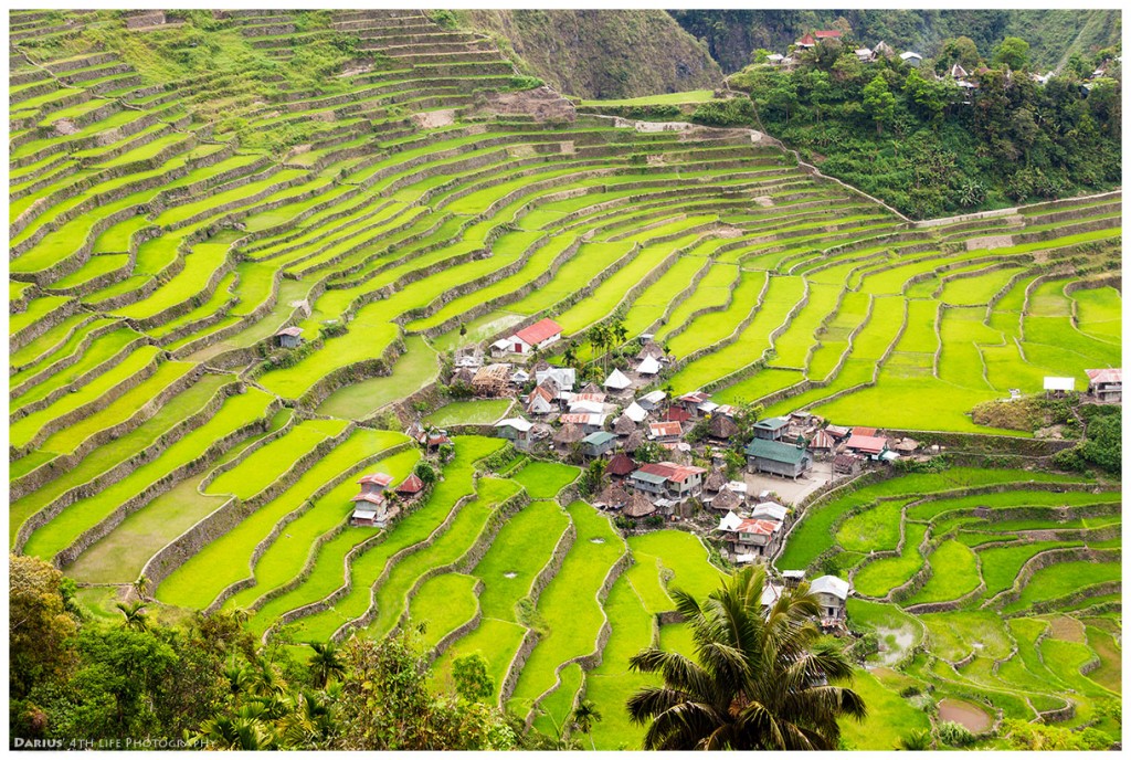 Zdjęcia: Batad, Luzon, Batad, FILIPINY Zdjęcia: Batad, Luzon, Batad, FILIPINY