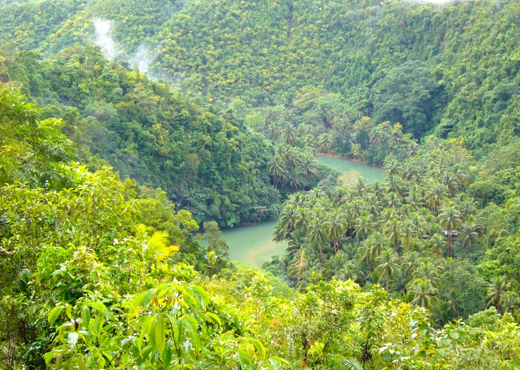 Zdjęcia: LOBOC RIVER , BOHOL, FILIPINY Zdjęcia: LOBOC RIVER , BOHOL, FILIPINY