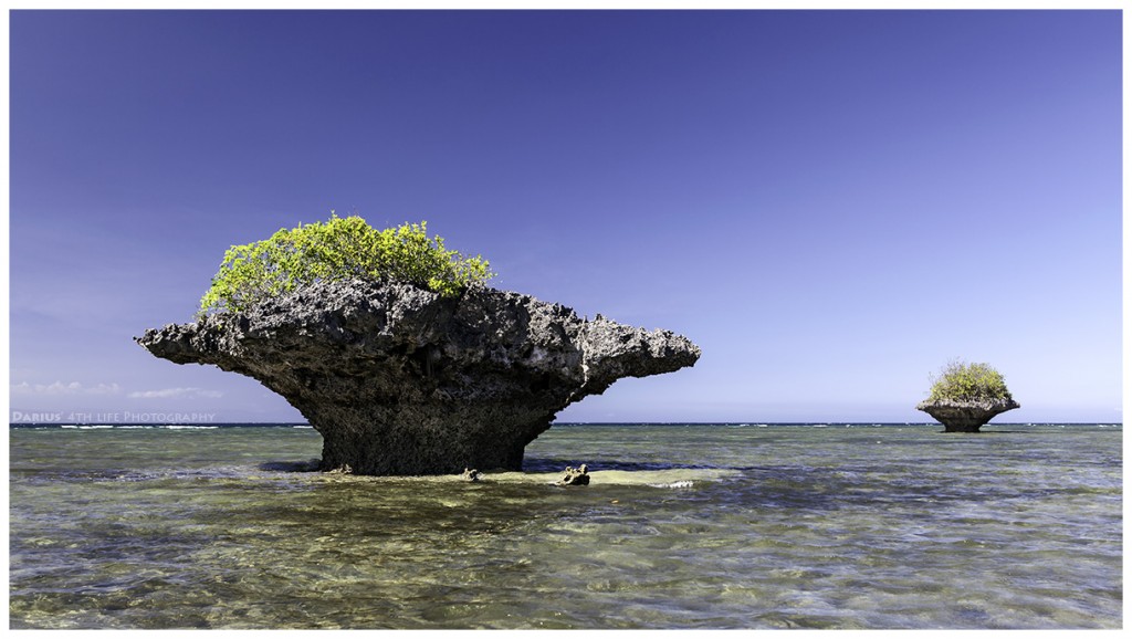 Zdjęcia: Moalboal, Cebu, Volcanic Mushrooms, FILIPINY Zdjęcia: Moalboal, Cebu, Volcanic Mushrooms, FILIPINY