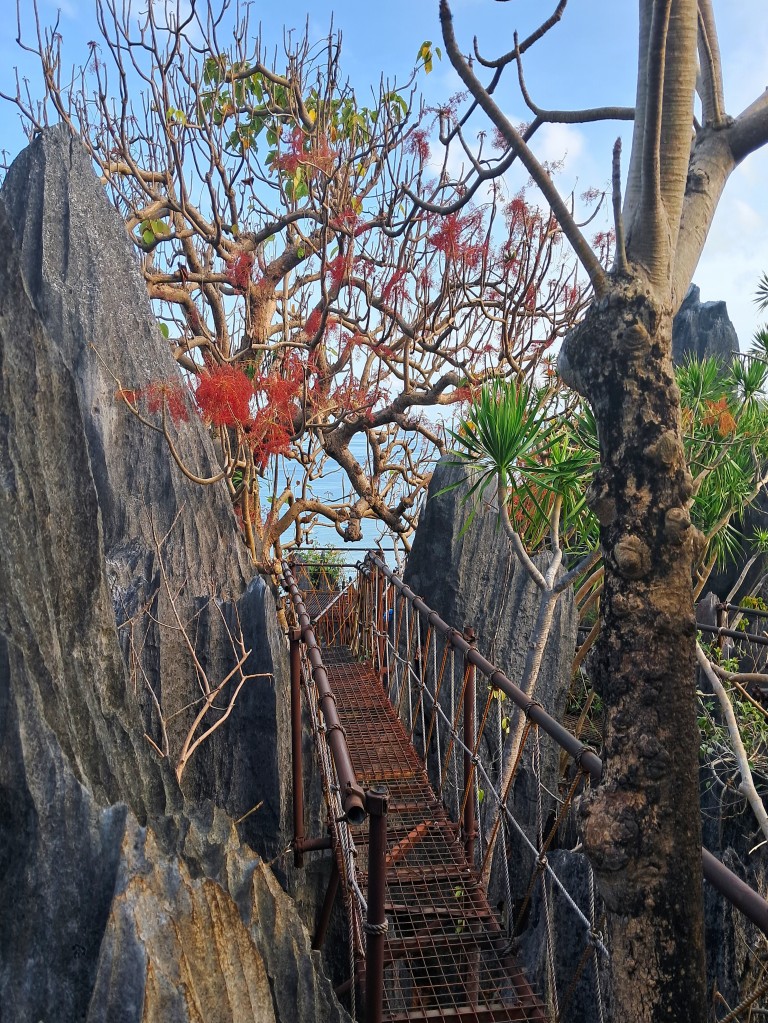 Zdjęcia: El Nido, Wyspa Palawan, EL Nido Via Ferrata Canopy Walk, FILIPINY Zdjęcia: El Nido, Wyspa Palawan, EL Nido Via Ferrata Canopy Walk, FILIPINY