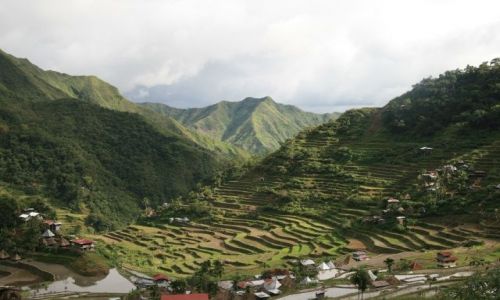 Zdjęcie FILIPINY / Banaue / Batad / Tarasy w Batad
