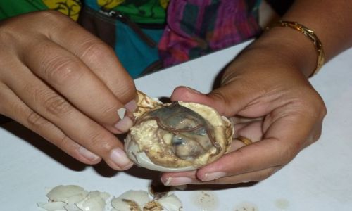 Zdjecie FILIPINY / - / Ilo Ilo / Balut - filipiski afrodyzjak