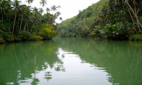 Zdjęcie FILIPINY / - / LOBOK RIVER / BOHOL-PANGLAO