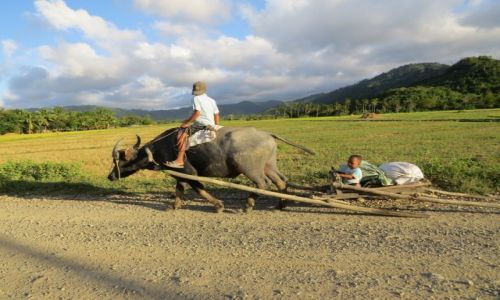Zdjcie FILIPINY / Palawan / El Nido / Tubylcy spotkani na drodze na wyspie Palawan