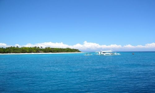 Zdjecie FILIPINY / Westrn Visayas / Bohol / nurkowanie