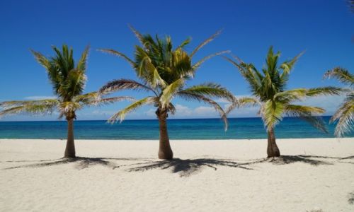 Zdjecie FILIPINY / western visayas / Isla Gigante / 3 Palms