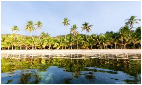Zdjcie FILIPINY / Busuanga / Ocamocam / Ocamocam