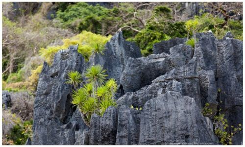 Zdjcie FILIPINY / Busuanga / Malajon Island / ... on the rocks