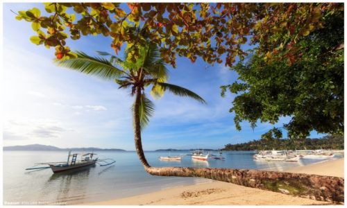 Zdjcie FILIPINY / Palawan / Port Barton / Port Barton Beach