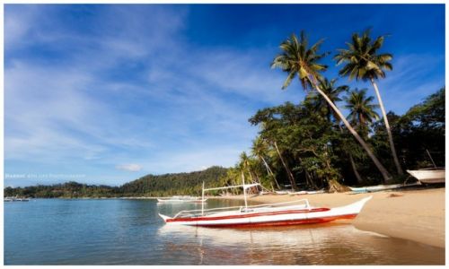 Zdjcie FILIPINY / Palawan / Port Barton / Just a beach