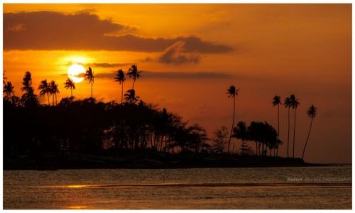 Zdjcie FILIPINY / Palawan / Rizal / In the tropical mood