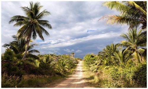 Zdjecie FILIPINY / Palawan / Palawan / Very South Palawan Highway