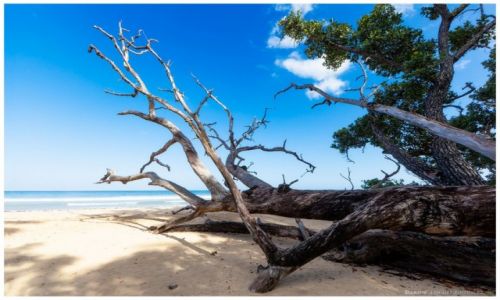 Zdjęcie FILIPINY / Palawan / Napsan / Wild Beach