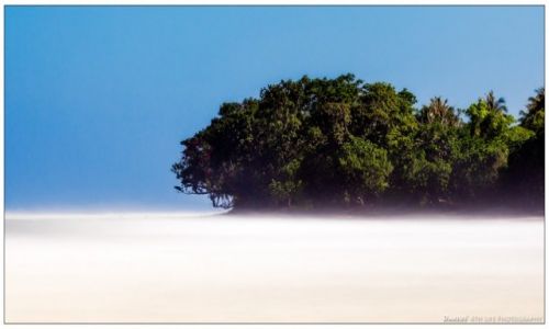 Zdjęcie FILIPINY / Palawan / Napsan / Tropics