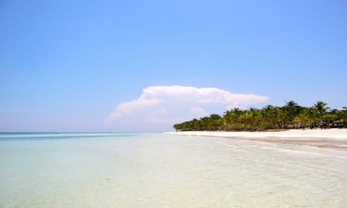Zdjcie FILIPINY / Bohol / Panglao / krajobrazy