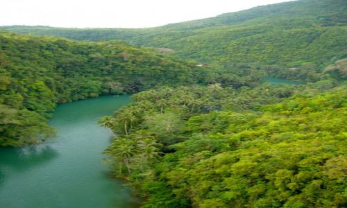 Zdjcie FILIPINY / BOHOL / LOBOC RIVER / krajobrazy