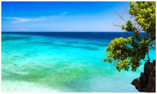 Zdjcie FILIPINY / Visayas / Siquijor / Salagdong Reef