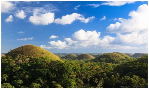 Zdjecie FILIPINY / Visayas / Bohol / Chocolate Hills