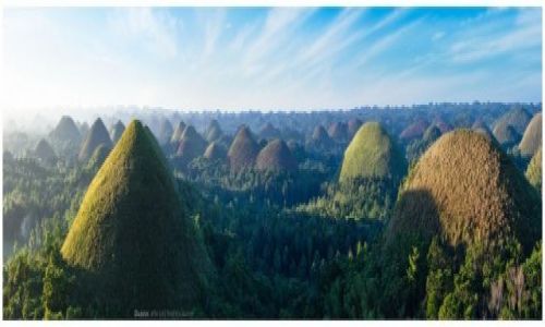 Zdjecie FILIPINY / Visayas / Bohol / Chocolate Hills Panorama