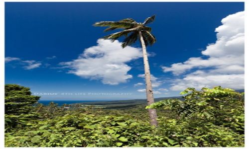 Zdjcie FILIPINY / Mindanao / Camiguin / Tropical Landscape