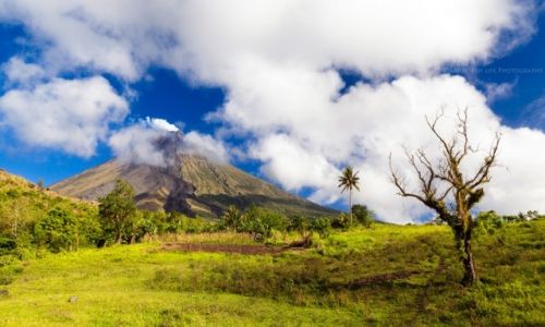 Zdjcie FILIPINY / Luzon / Legazpi / Around Mayon
