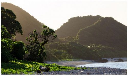Zdjcie FILIPINY / Luzon / Cagayan / Tropical Beach II