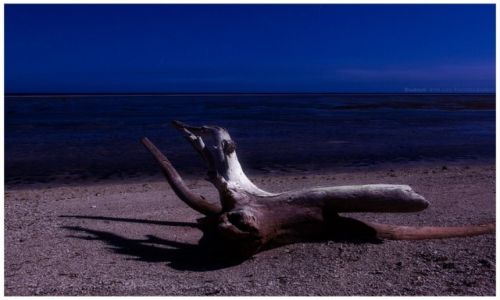 Zdjcie FILIPINY / Luzon / Cagayan / Pacific Beach by Moonlight