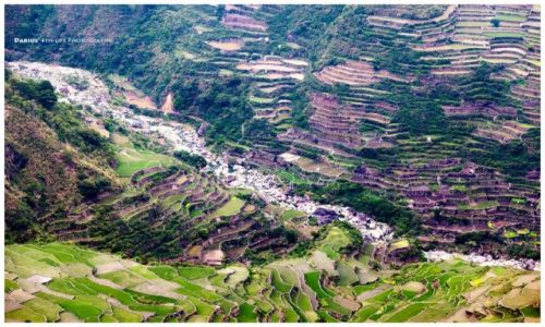 Zdjcie FILIPINY / Luzon / Ifugao / Ifugao