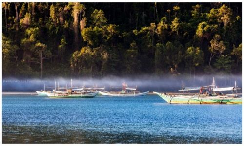 Zdjcie FILIPINY / Palawan / Nagtabon Beach / Morning layering fog