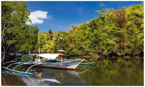 Zdjcie FILIPINY / Palawan / Bahile Wharf / Mangrove River
