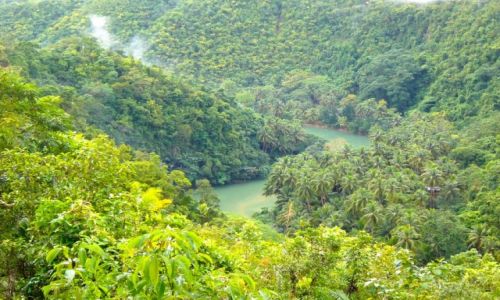 Zdjęcie FILIPINY / - / LOBOC RIVER  / BOHOL