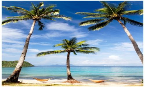 Zdjcie FILIPINY / Palawan / Bacuit Archipelago / A place for two