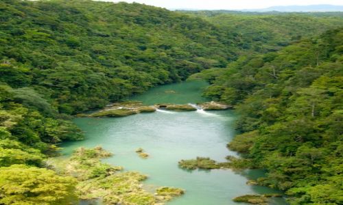 Zdjcie FILIPINY / Bohol / LOBOC RIVER / Loboc 