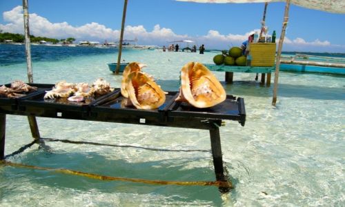 Zdjecie FILIPINY / Bohol / Panglao / Virgin Island