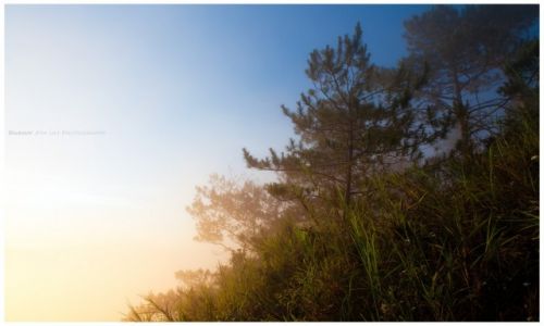 Zdjęcie FILIPINY / Luzon / Sagada / Misty Sunrise