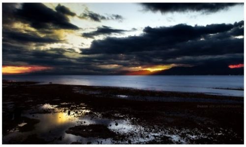 Zdjcie FILIPINY / Cebu / Moalboal / Tanon Strait II