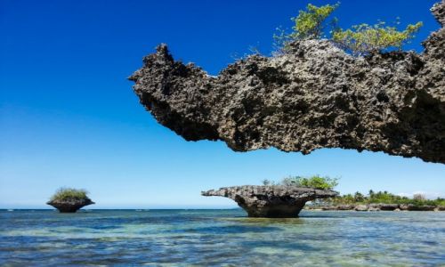 Zdjcie FILIPINY / Cebu / Moalboal / Mushroom Rocks