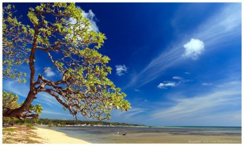 Zdjcie FILIPINY / Palawan / Cuyo / Cuyo Island