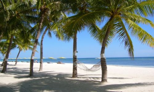 Zdjecie FILIPINY / BOHOL / PANGLAO / PANGLAO BEACH