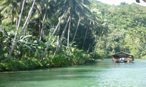 Zdjcie FILIPINY / Bohol / Loboc / Bohol Loboc River