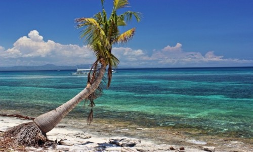 Zdjęcie FILIPINY / Kalanggaman Island / Kalanggaman Island / Kalanggaman Island