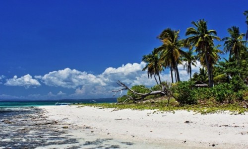 Zdjecie FILIPINY / Kalanggaman Island / Kalanggaman Island / Kalanggaman Island