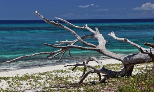 Zdjęcie FILIPINY / Kalanggaman Island / Kalanggaman Island / Kalanggaman Island